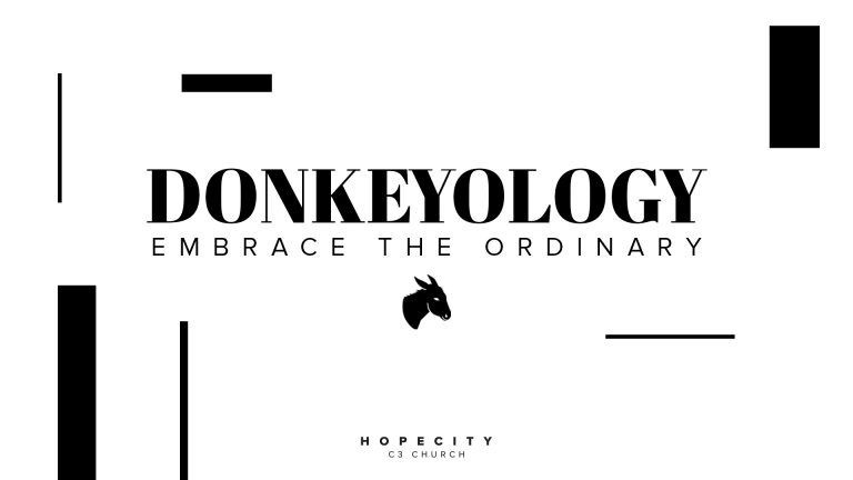 Donkeyology: embrace the ordinary