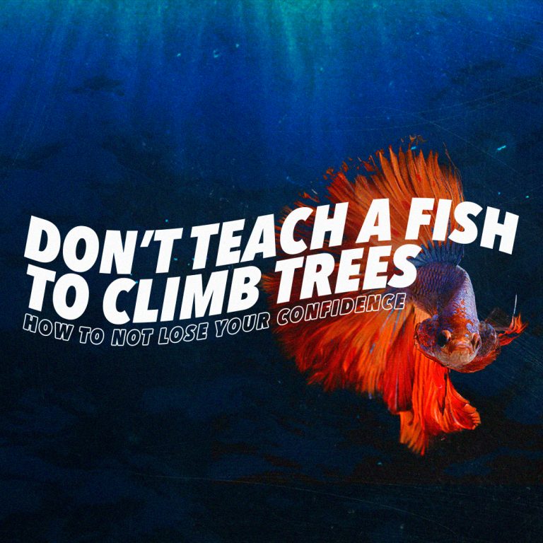 Don’t Teach a Fish to Climb Trees – How to not lose your confidence