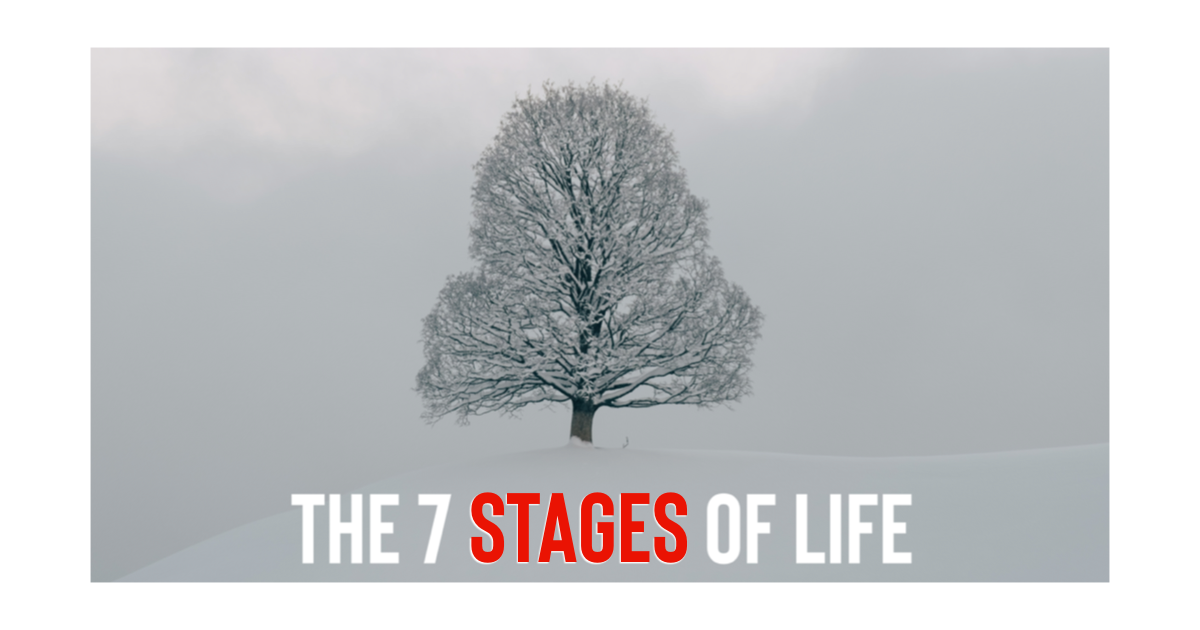 The 7 Stages of Life